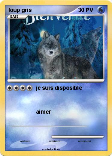 Pokemon loup gris