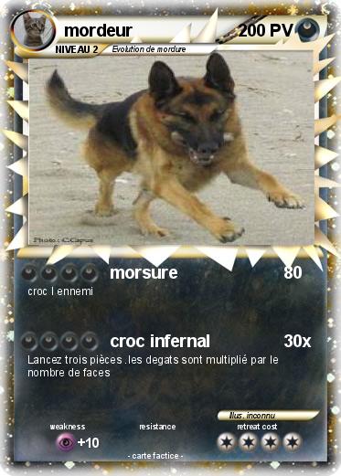 Pokemon mordeur