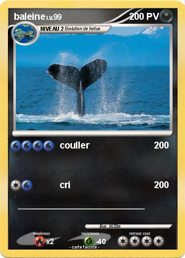 Pokemon baleine