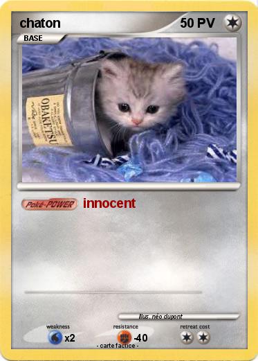 Pokemon chaton