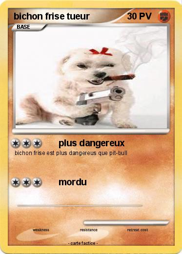 Pokemon bichon frise tueur