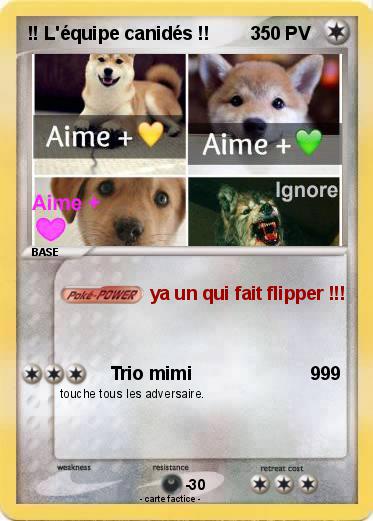 Pokemon !! L'équipe canidés !!        3
