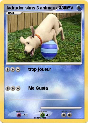 Pokemon ladrador sims 3 animaux & cie