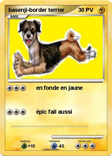 Pokemon basenji-border terrier