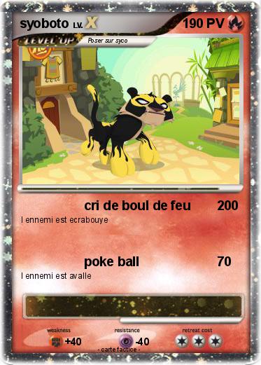 Pokemon syoboto