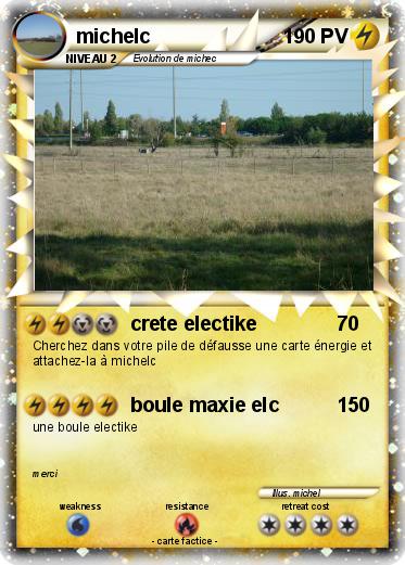 Pokemon michelc