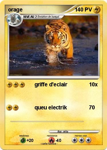 Pokemon orage