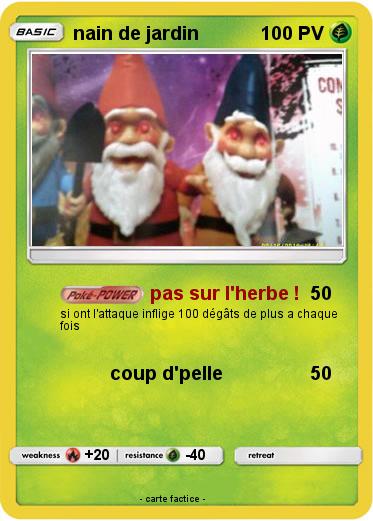 Pokemon nain de jardin