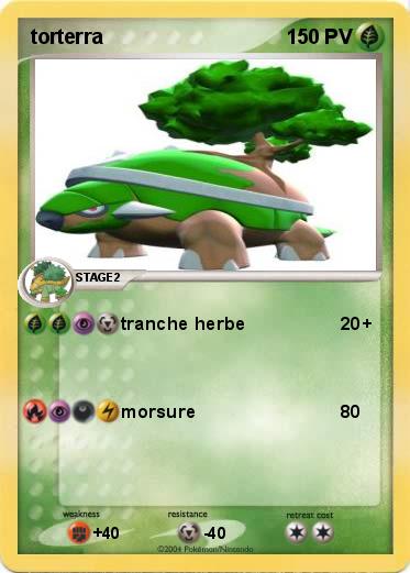 Pokemon torterra