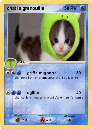 Pokemon chat la grenouille