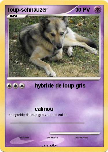 Pokemon loup-schnauzer