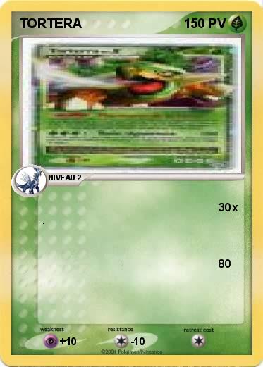 Pokemon TORTERA