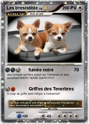 Pokemon Les Irresistible