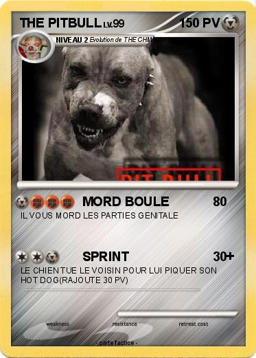 Pokemon THE PITBULL