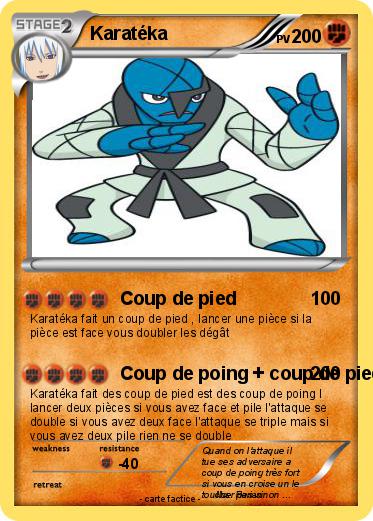 Pokemon Karatéka