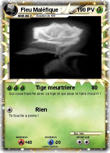 Pokemon Fleu Maléfique