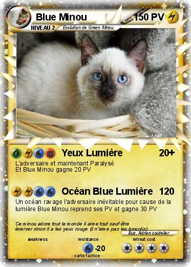 Pokemon Blue Minou
