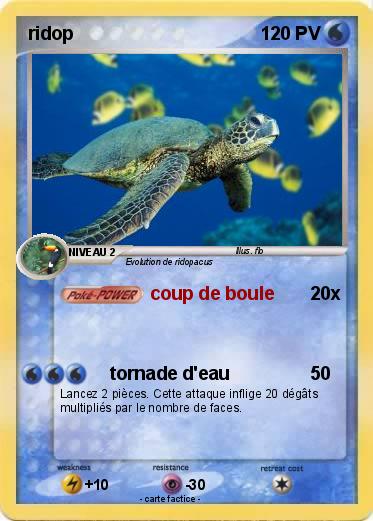 Pokemon ridop