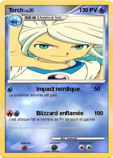 Pokemon Torch