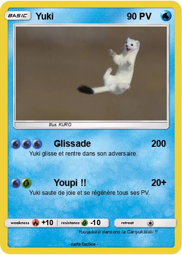 Pokemon Yuki