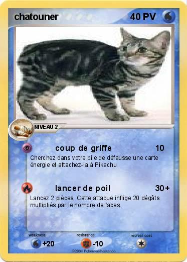Pokemon chatouner