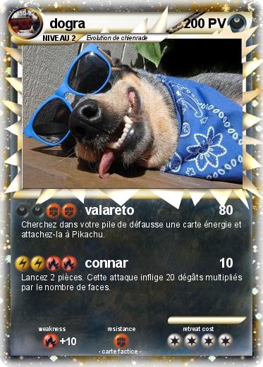 Pokemon dogra