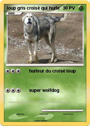 Pokemon loup gris croisé qui hurle