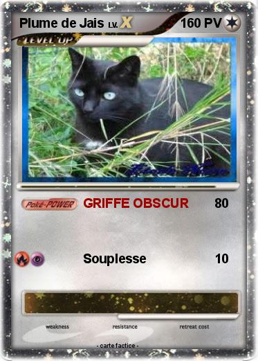 Pokemon Plume de Jais