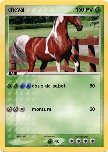 Pokemon cheval