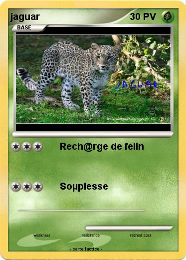 Pokemon jaguar