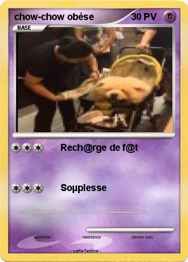 Pokemon chow-chow obèse