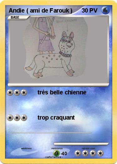 Pokemon Andie ( ami de Farouk )