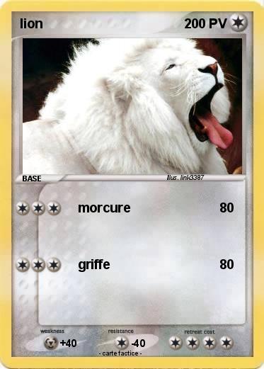 Pokemon lion