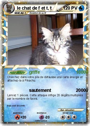 Pokemon le chat de f et t, t