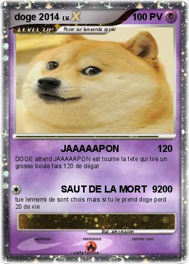 Pokemon doge 2014
