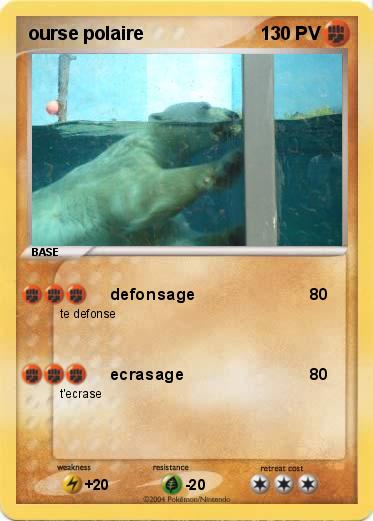 Pokemon ourse polaire