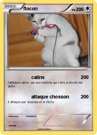 Pokemon flocon