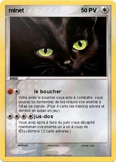 Pokemon minet