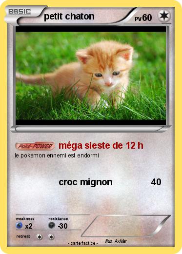 Pokemon petit chaton