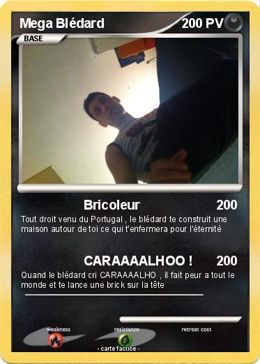 Pokemon Mega Blédard