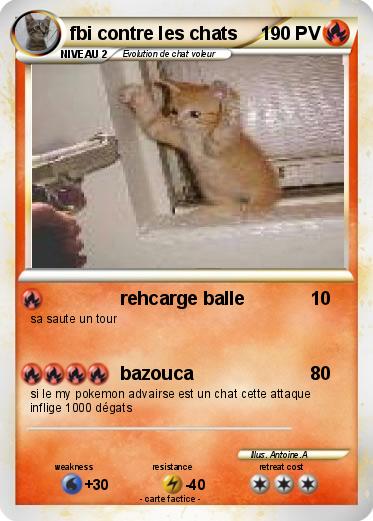 Pokemon fbi contre les chats