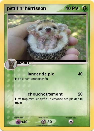Pokemon pettit n' hérrisson