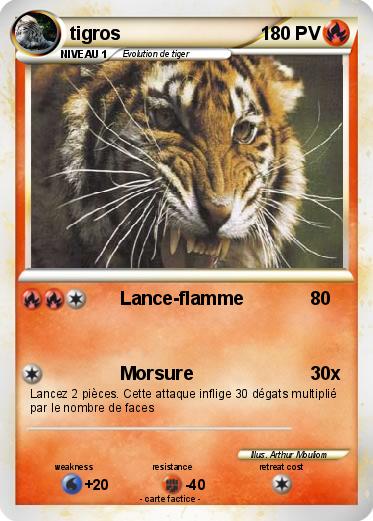 Pokemon tigros