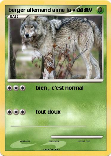 Pokemon berger allemand aime la viande