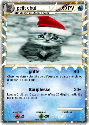 Pokemon petit chat
