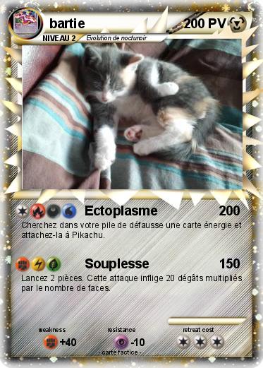 Pokemon bartie