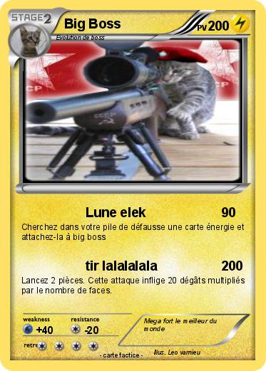 Pokemon Big Boss