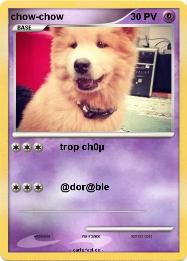 Pokemon chow-chow