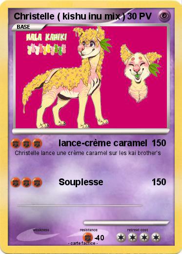 Pokemon Christelle ( kishu inu mix )