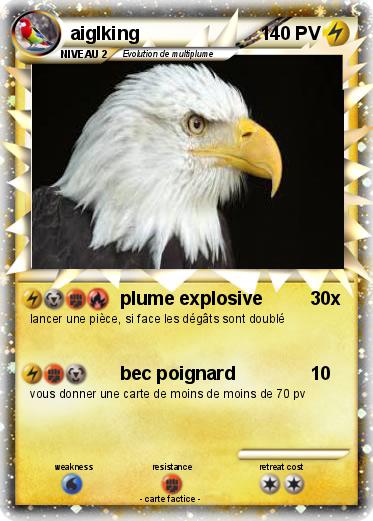 Pokemon aiglking